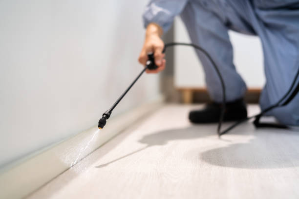 Licensed Fumigation Services service in Orange Blossom, CA - Nex Pest Control