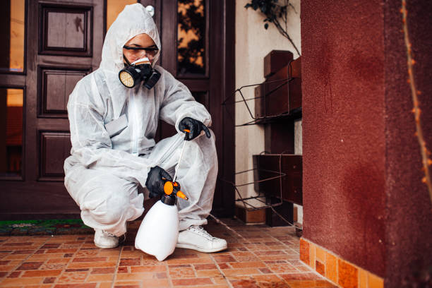 Reliable Fumigation Services contractor in Orange Blossom, CA by Nex Pest Control